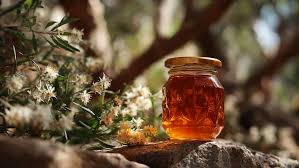 Sidr Honey - Image 2